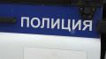 Пьяный мужчина ударил полицейского в центре Воронежа
