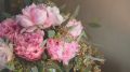 Фестиваль «Воронежские пионы» состоится 6-7 июня в Ботаническом саду ВГУ