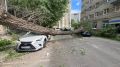 � ������ �������� ������ ����� �� Lexus � Kia