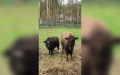 � ���������� ��� ���� ������ ��������� ����� ������������� � ����� ���������� ��� �� ����� �����