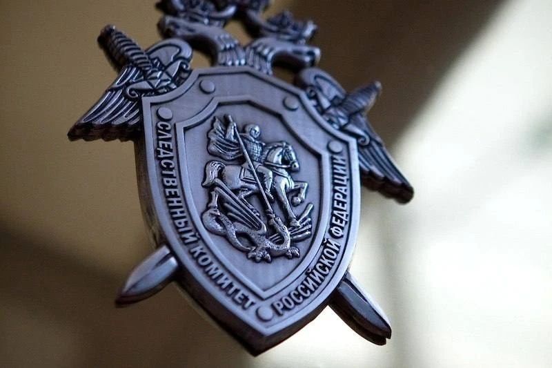 В Воронеже следователем СК возбуждено уголовное дело по информации о ненадлежащем оказании медицинской помощи местной жительнице