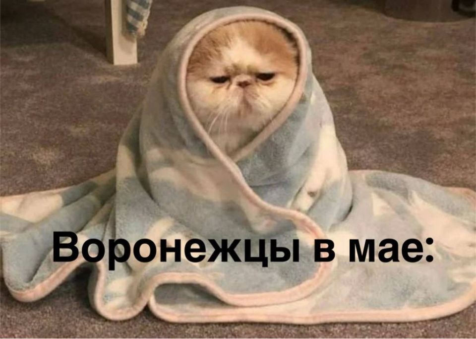 Брр, похолодание до +1 и дожди спрогнозировали в Воронеже в выходные
