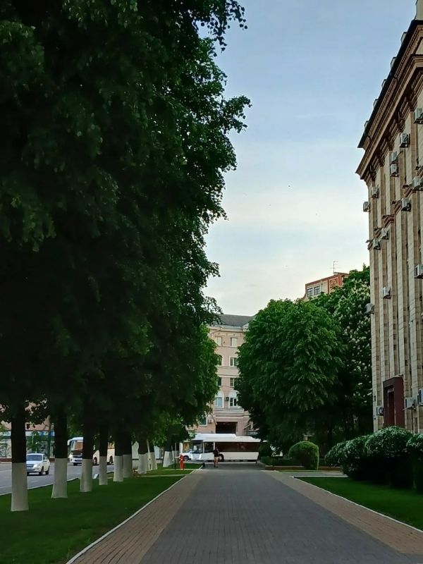 Фотопроект "Воронеж в цветах"