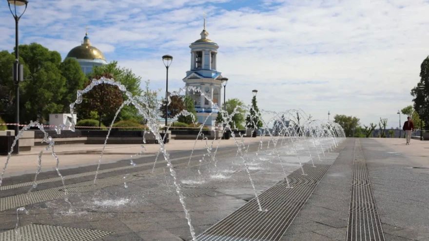 Посадку яблонь на Советской площади назвали циничным самопроизволом