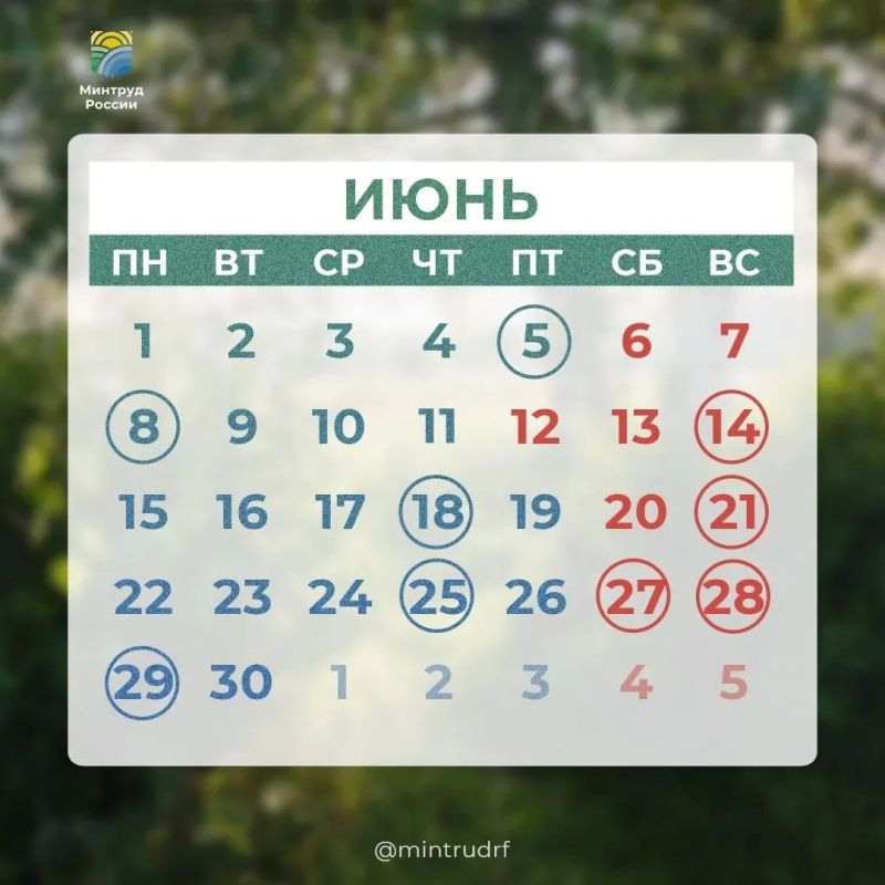 Воронежцам напомнили о короткой рабочей неделе и длинных выходных в июне