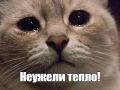 До +26 градусов потеплеет в Воронеже в среду