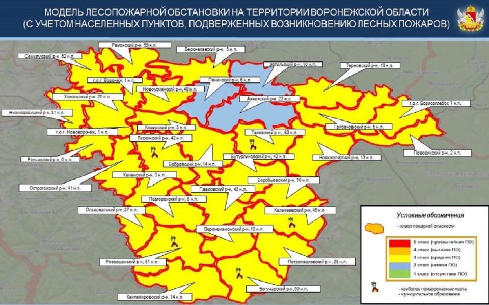 В связи с жаркой погодой III класс пожарной опасности установили почти на всей территории Воронежской области - в 31 из 34 муниципальных образованиях