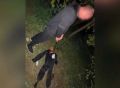 Воронежец получил 16 лет колонии за безжалостную расправу над новым знакомым на шашлыках