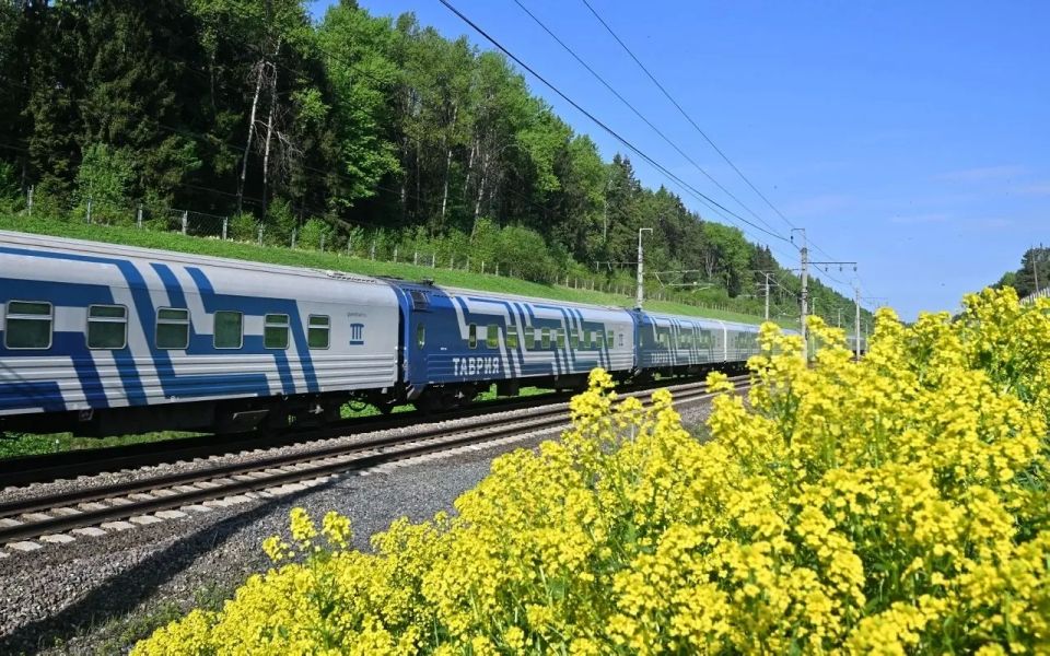 Проходящим в Крым через Воронежскую область семи поездам «Таврия» сократили маршрут
