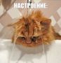 Жара жарой, а град – по расписанию!