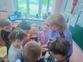 В Воронеже сотрудник регионального следственного управления провела урок безопасности со школьниками