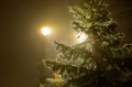 Жителей Ольховатского поселения предупредили об отключении света на улицах