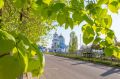 Рабочая неделя в Воронежской области начнется с жары