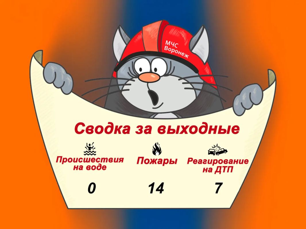Оперативная сводка за выходные