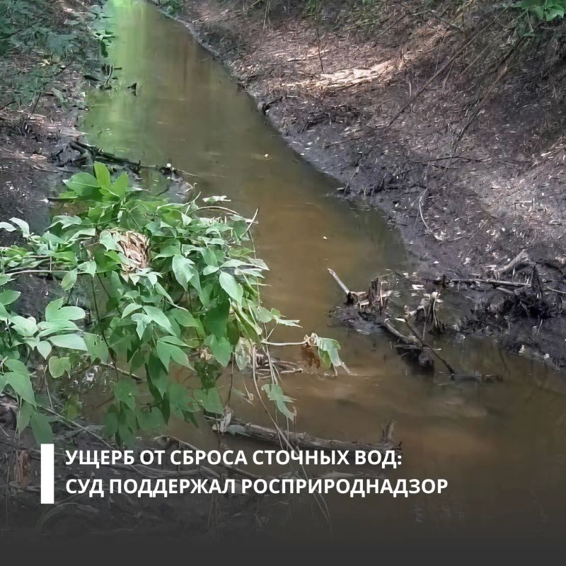 Суд поддержал требования Росприроднадзора о взыскании с ООО «Россошанские Коммунальные Системы» ущерба, причиненного почвам