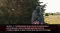 Минтруд Воронежской области присоединится к общероссийской минуте молчания в День памяти и скорби