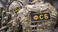 Жителя Воронежа задержали по подозрению в госизмене