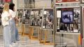 «За каждым снимком – человеческая жизнь»: в Воронеже открылась фотовыставка «Цыгане в битве за Родину»