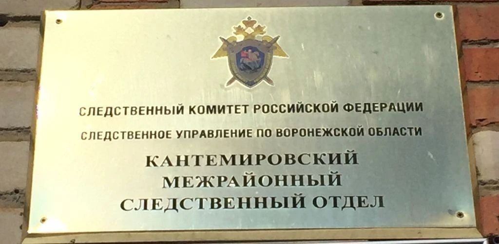 Жительница Кантемировского района предстала перед судом по обвинению в мошенничестве