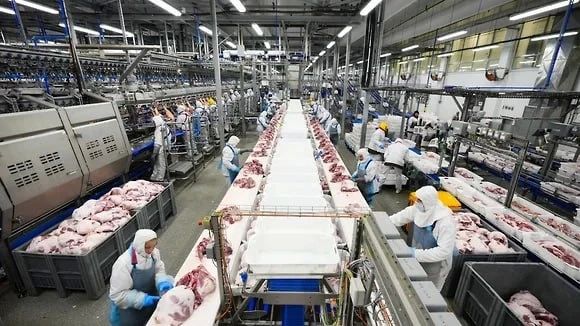 Воронежская ГК «Агроэко» выплатила 128,9 млн рублей дохода по облигациям