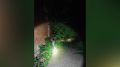 ����������� ��������� ���������� � ������� 78-������� ���������� � ���������� � �������