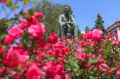 1 июля дан старт приему заявок на X городской экологический конкурс «Город в цветах»