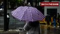 Жара до +35 градусов в Центральной России уступит место дождям к выходным