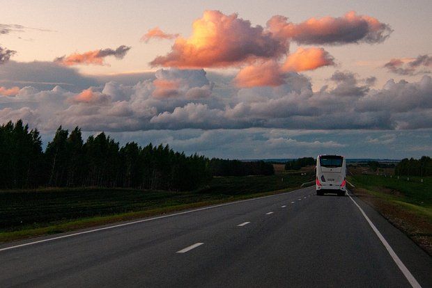 12 пассажиров рейсового автобуса госпитализировали после ДТП в Воронежской области