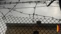 Предприниматель из Воронежа сел на 8 лет за перевод 8,7 тыс рублей экстремистской организации