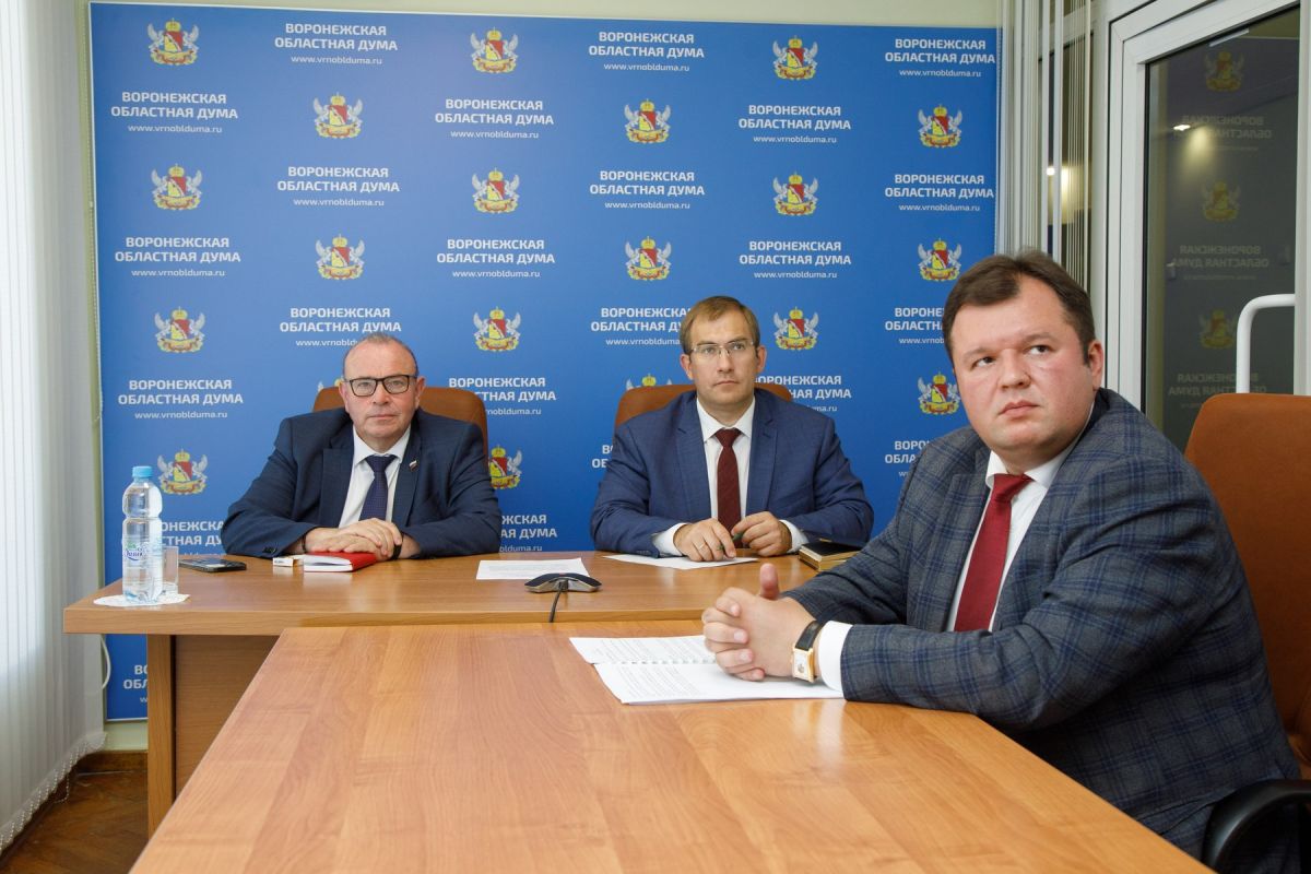 Депутаты областной Думы обсудили модернизацию почтовой службы с коллегами из Госдумы