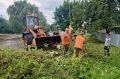 Шквалистый ветер повалил более 50 деревьев в Воронеже