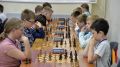 Воронежские шахматисты сразились за Кубок Сергея Карякина