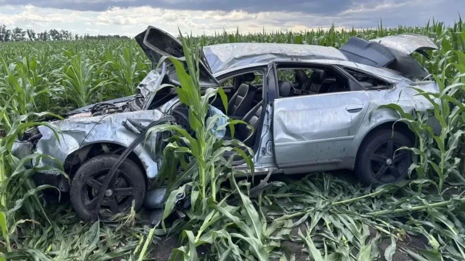 В Лискинском районе мужчина на Audi вылетел в кукурузное поле: погиб пассажир