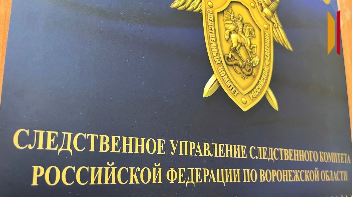 В центре Воронежа на женщину упала часть фасада дома