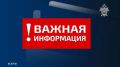 Следственное управление СК России по Воронежской области напоминает правила безопасности детей на водоемах
