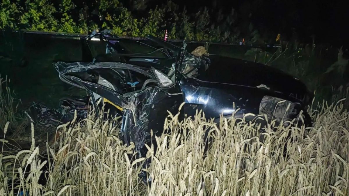 Воронежская семья с 2 детьми погибла в ДТП в Тамбовской области