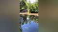 В Воронеже затопило двор на улице Щорса: видео