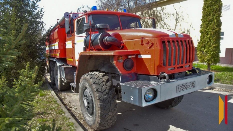 В Воронежской области усилят меры по предотвращению лесных пожаров