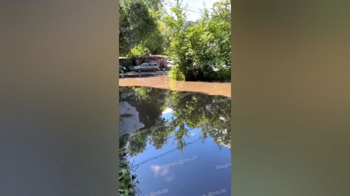В Воронеже затопило двор на улице Щорса: видео