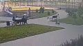 В воронежском ЖК «Озерки» малышку сбил мальчик на электросамокате