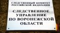 Губернатор Воронежской области Александр Гусев и председатель областной думы Юрий Матузов поздравили следователей с профессиональным праздником