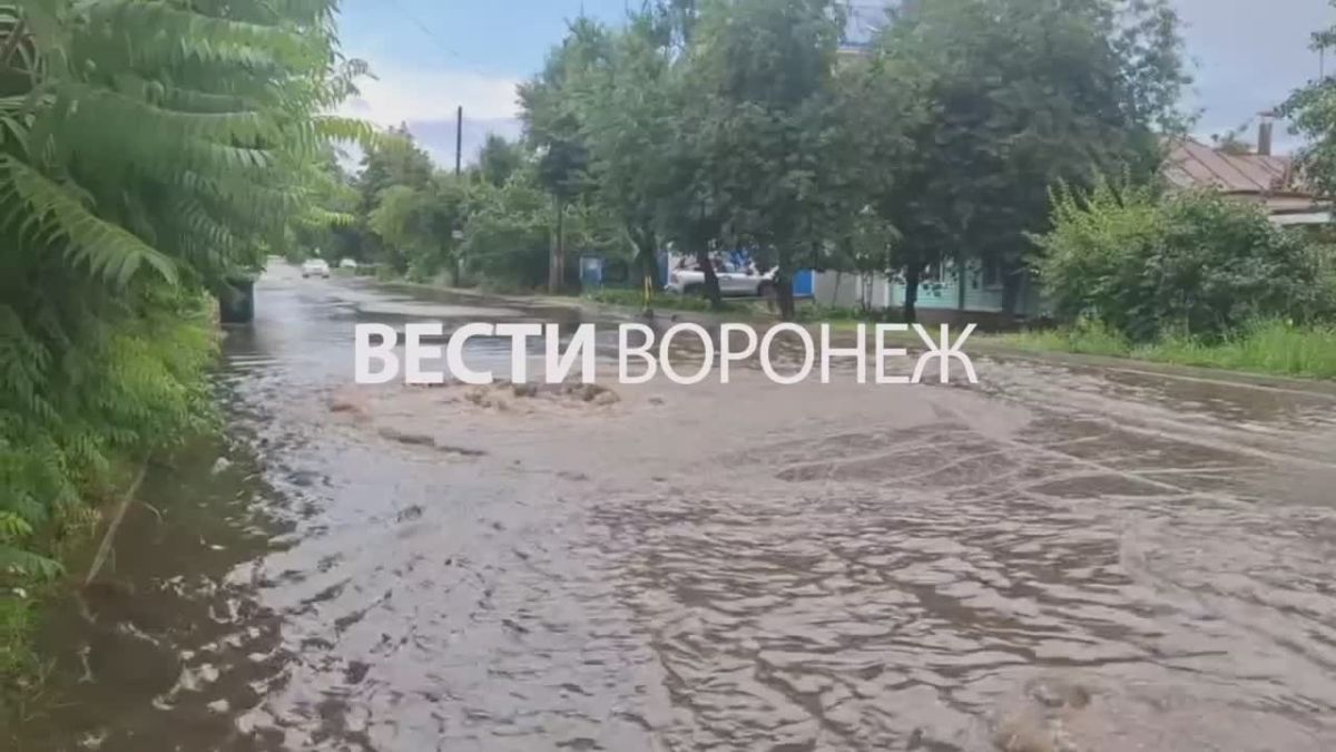 Бурлящий поток грязной воды в очередной раз затопил улицу Петрозаводскую Улица ушла под воду после сегодняшнего ливня. По словам воронежцев, причина в том, что канализационные стоки из домов на Моисеева текут по одному...
