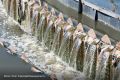 ВС РФ не принял жалобу по делу о взыскании 146 млн ущерба с властей Воронежа