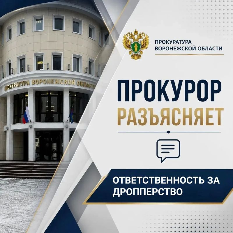 Федеральным законом от 24.06.2025 № 176-ФЗ статья 187 Уголовного кодекса Российской Федерации дополнена частями 3 – 6, согласно которым с 5 июля 2025 года введена ответственность для дропперов (дропов – это лица, которые за...