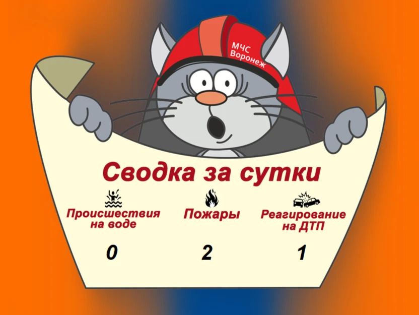 Оперативная сводка за сутки
