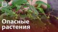 Штраф до 700 тысяч рублей, а в некоторых случаях – даже риск лишиться земельного участка