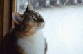 3 августа жара до +30 градусов, ветер слабый.