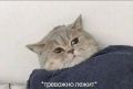Топливный кризис стал главной тревогой воронежцев во втором квартале 2026-го