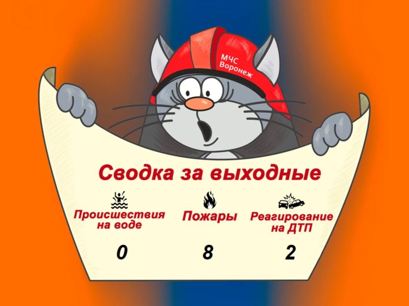 Оперативная сводка за выходные