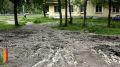 Воронежских водителей продолжают активно штрафовать за парковку на газонах